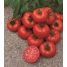 Seminte de tomate Amaneta F1