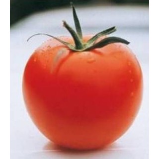 Seminte de tomate Cindel F1