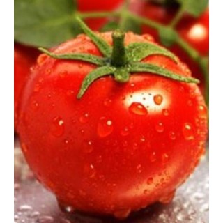 Seminte de tomate Sandoline F1, 500 seminte