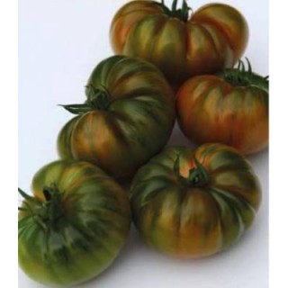 Seminte de tomate Bocamegra F1