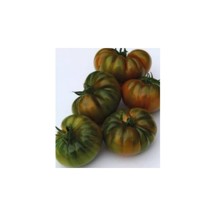 Seminte de tomate Bocamegra F1