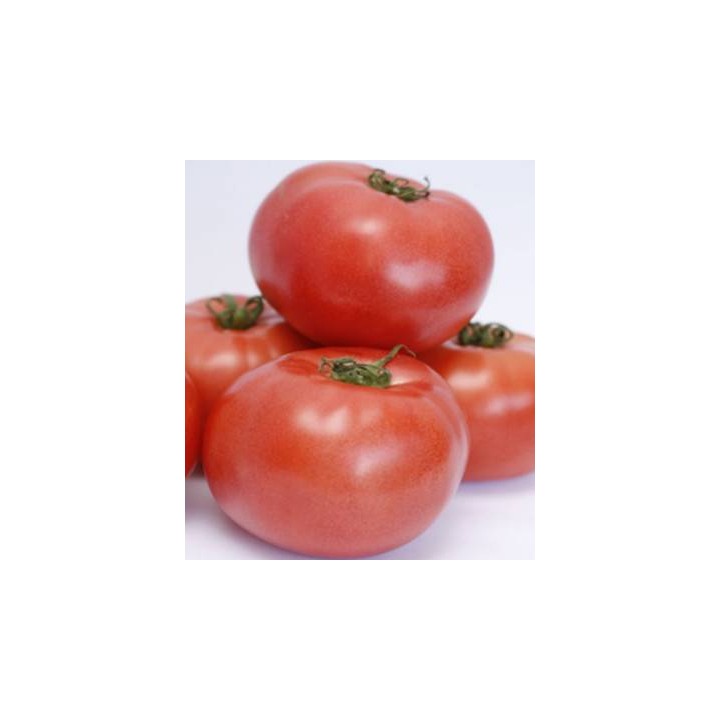 Seminte de tomate Esmira F1, 100 seminte