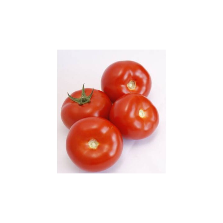 Seminte de tomate Doufu F1, 100 seminte