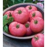 Seminte de tomate Gryphon F1