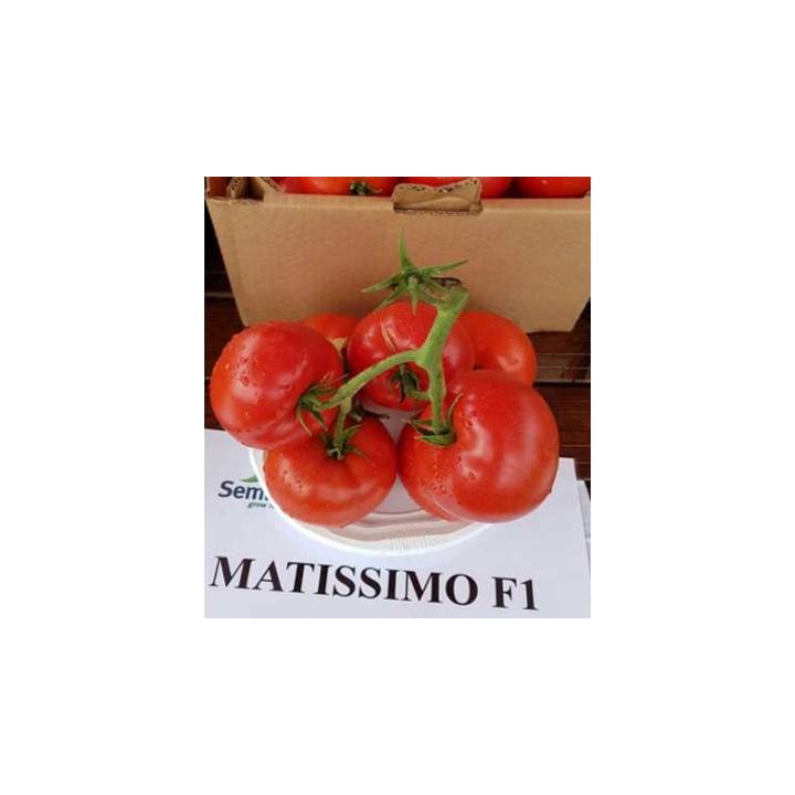 Seminte de tomate Matissimo F1, 100 seminte