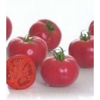 Seminte de tomate Pink Impression F1, 500 seminte