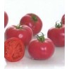 Seminte de tomate Pink Impression F1, 500 seminte