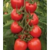 Seminte de tomate Red Heart F1 pentru recoltarea pe ciorchine
