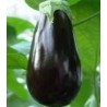 Vinete Onyx F1