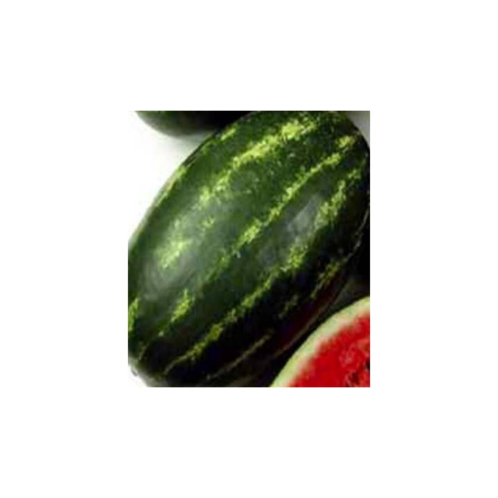 Seminte de pepene verde Melania F1