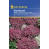 Alyssum violet (80 sem)