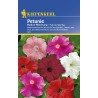 Petunia balcon mix (40 sem)