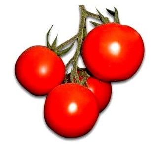 Seminte de tomate Brillante F1, Hazera