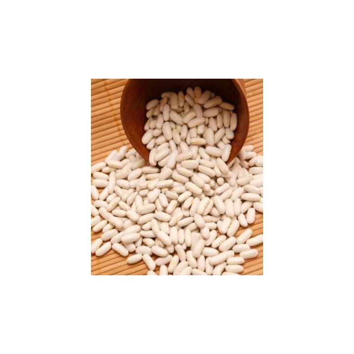 Seminte de fasole pentru boabe Lingot, 1 kg