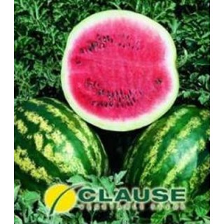 Seminte pepeni verzi Crimson Sweet, Clause