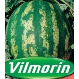 Seminte pepeni verzi Crimson Sweet, Vilmorin