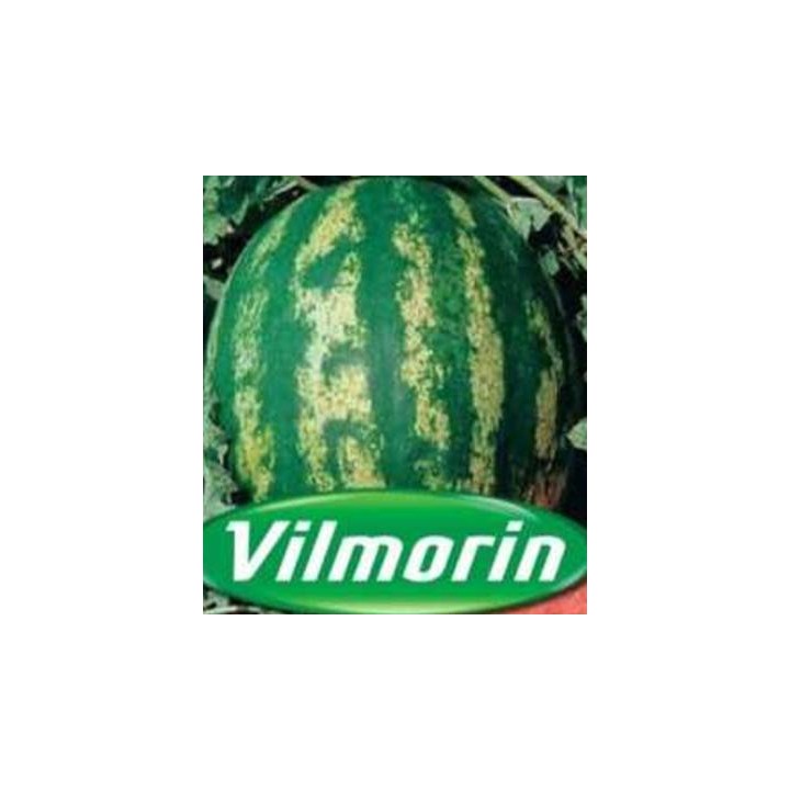 Seminte pepeni verzi Crimson Sweet, Vilmorin