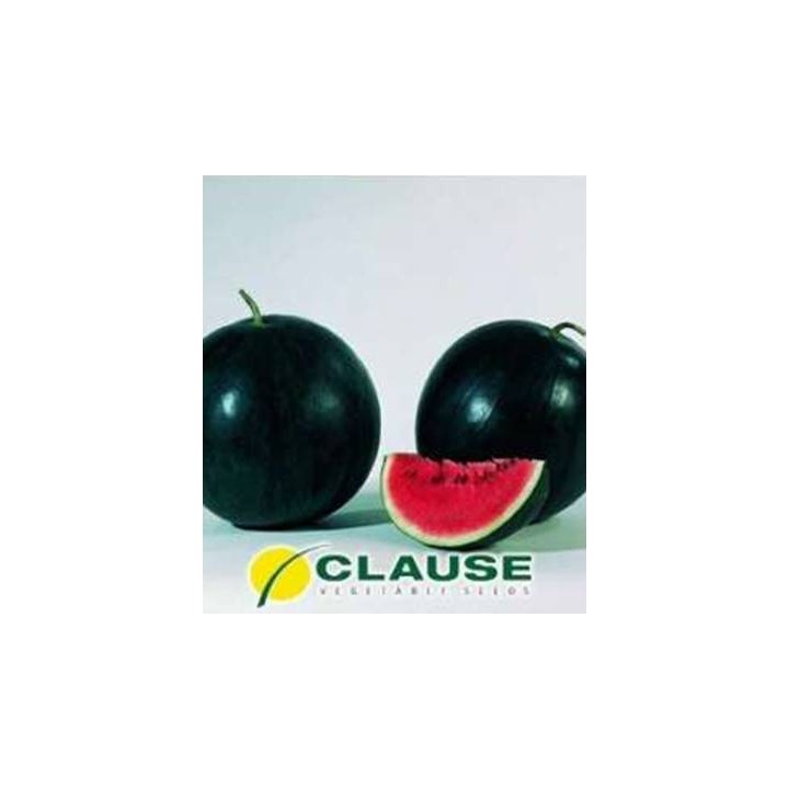 Seminte de pepeni verzi Sugar Baby, Clause