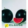 Seminte de pepeni verzi Sugar Baby, Clause