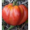 Seminte de tomate Pera D Abruzo