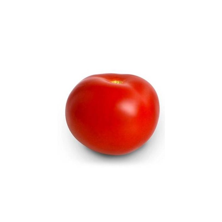 Seminte de tomate Mobil Zki