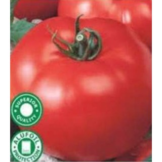 Seminte se tomate Amalia, Agrosel