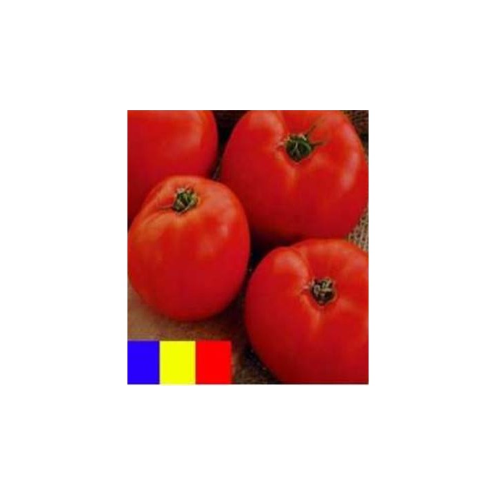Seminte de tomate Buzau 1600