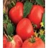 Seminte de tomate Ghittia