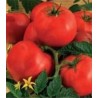 Seminte de tomate nedeterminate Ruxandra