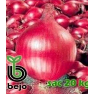 Arpagic rosu Red Ray F1, olandez din gama Bejo