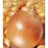 Arpagic Hercules, 8-16 mm, pachet 1 kg