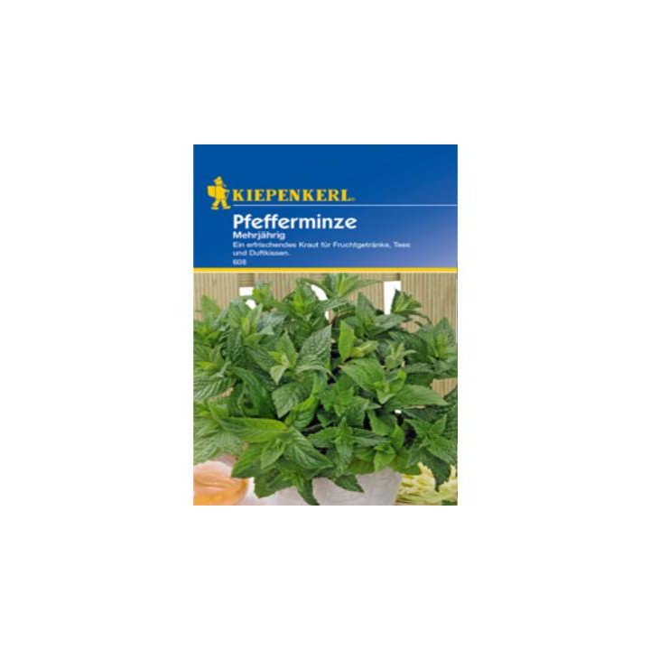 Menta 60 seminte
