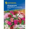 Seminte de muscate curgatoare Summer Showers F1, hobby
