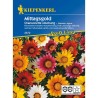 Gazania Chansonette plic 30 seminte