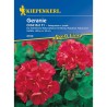 Muscata Orbit Rosu F1 (10 seminte)