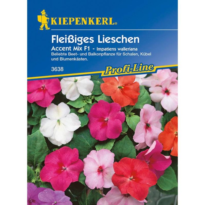 Impatiens Accent Mix