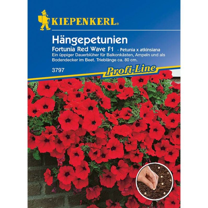 Seminte de petunia curgatoare Fortunia Red