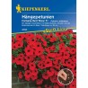 Seminte de petunia curgatoare Fortunia Red