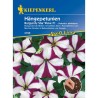 Petunia Burgundy Star Wave F1 (12 seminte)
