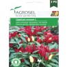 Ardei ornamental, 1 g