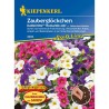 Seminte de Calibrachoa KABLOOM Romantic Mix