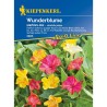 Mirabilis Jalapa Marbles Mix (20 sem)