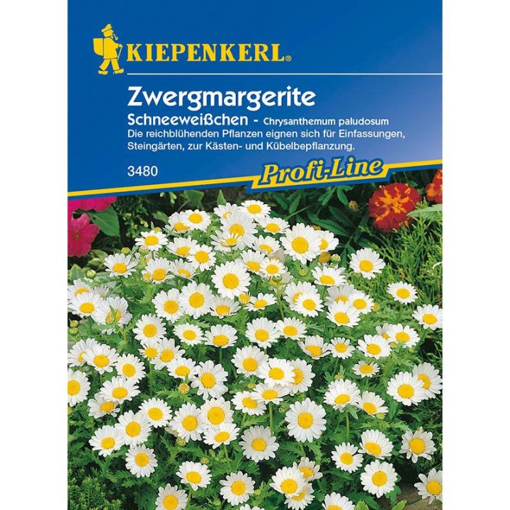 Margarete Alba ca zapada