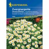 Margarete Alba ca zapada