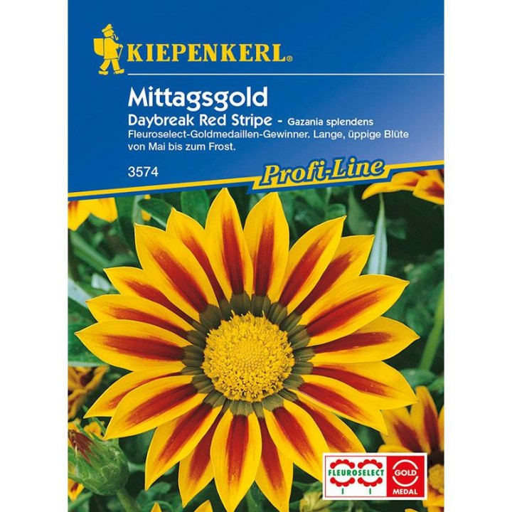 Gazania Daybreak
