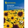 Rudbeckia Denver Daisy (35 seminte)