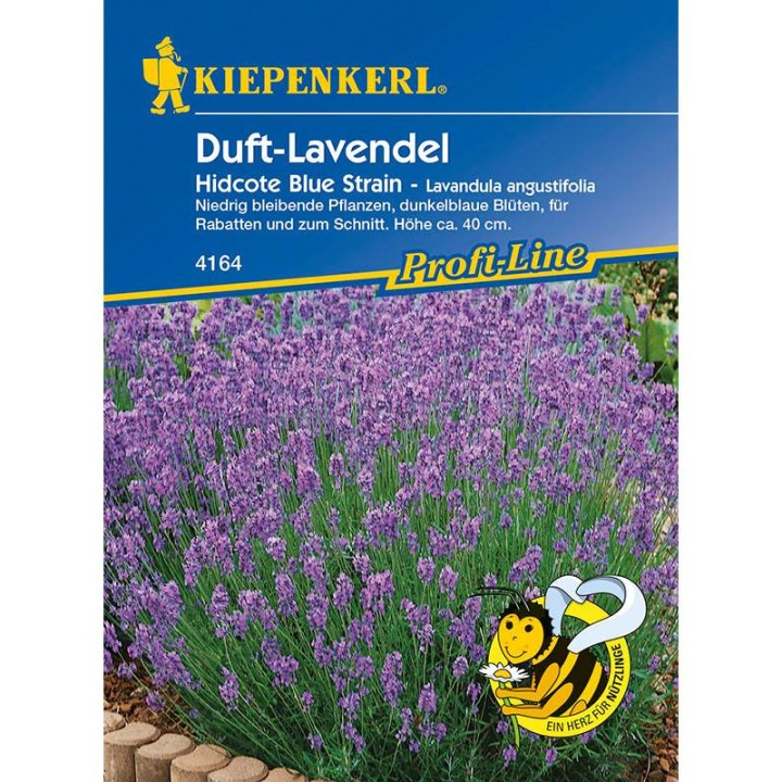 Lavanda - Hidcote Strain (40 sem)