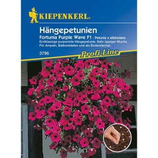 Petunia Purple Wave F1 (9 seminte)