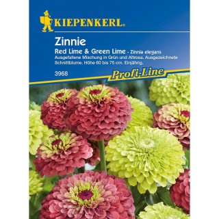 Carciumarese Red Lime + Green Lime 20 seminte