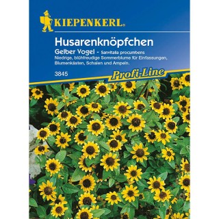 Nasturele husarului (50 sem)